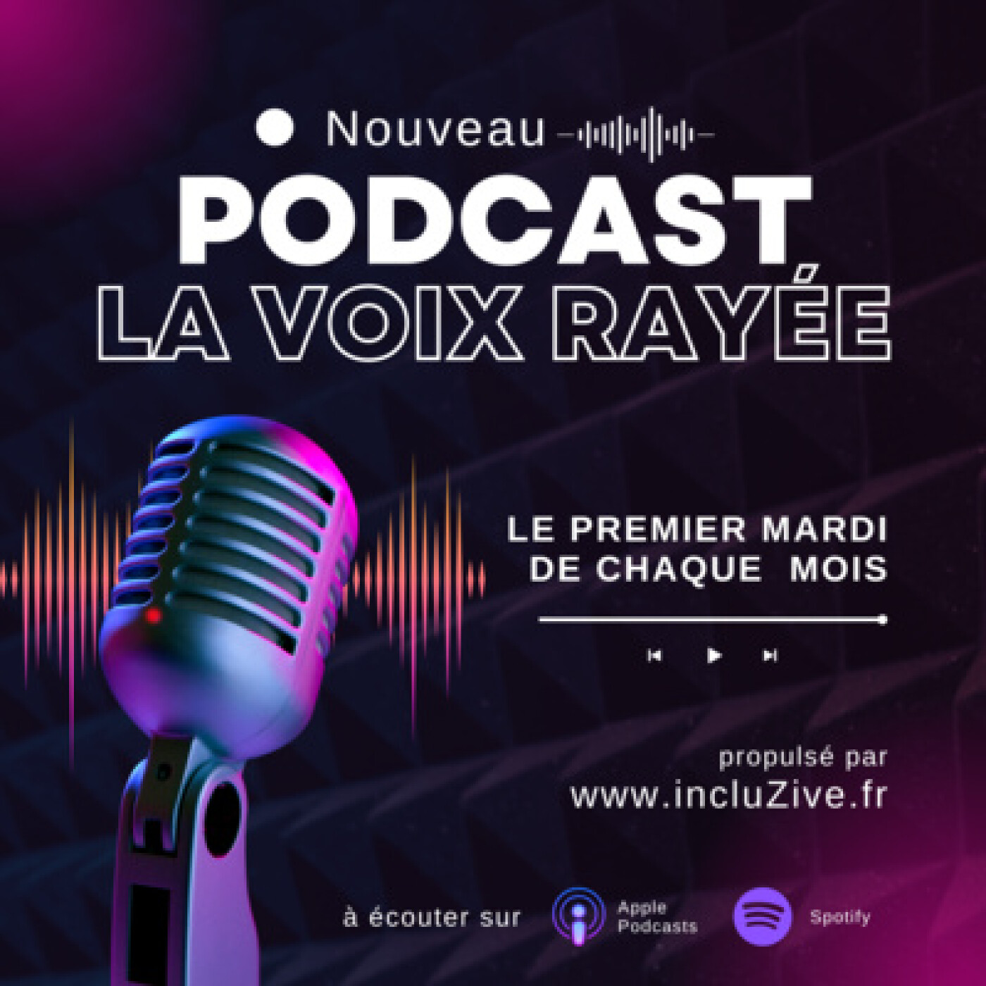 La voix rayée