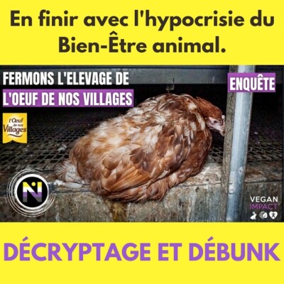 Poulailler d'Havelu, pour en finir avec l'hypocrisie du Bien-Être animal. cover
