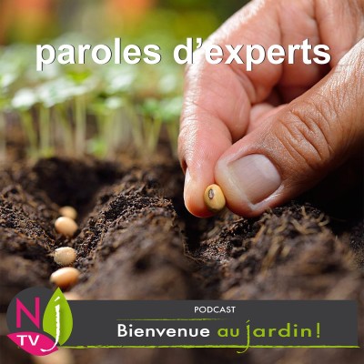 PAROLES D'EXPERT: RÉUSSIR LES SEMIS cover