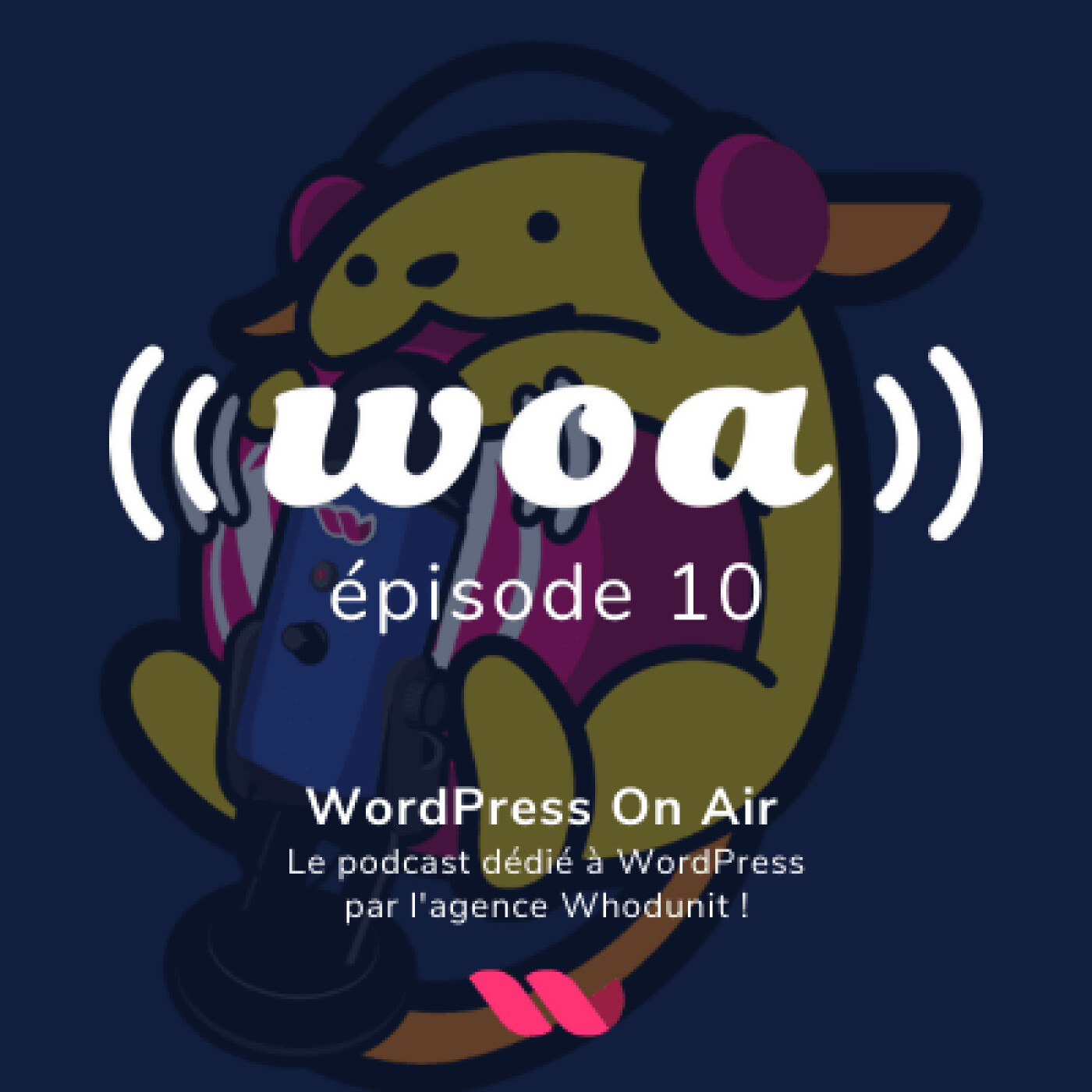 WOA! (WordPress On Air) #10 - Jonathan Buttigieg - Performance d'un site WordPress