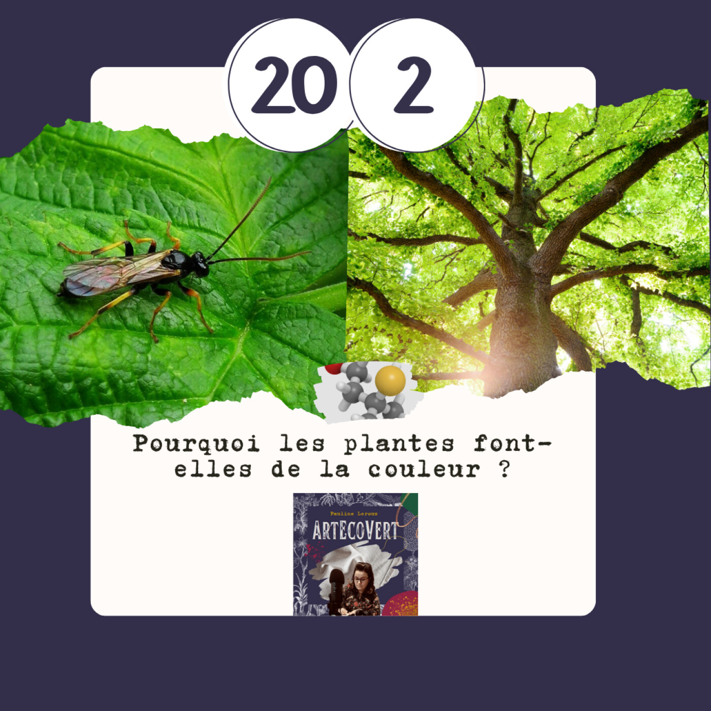ArtEcoVert La voix de la couleur végétale et des plantes tinctoriales