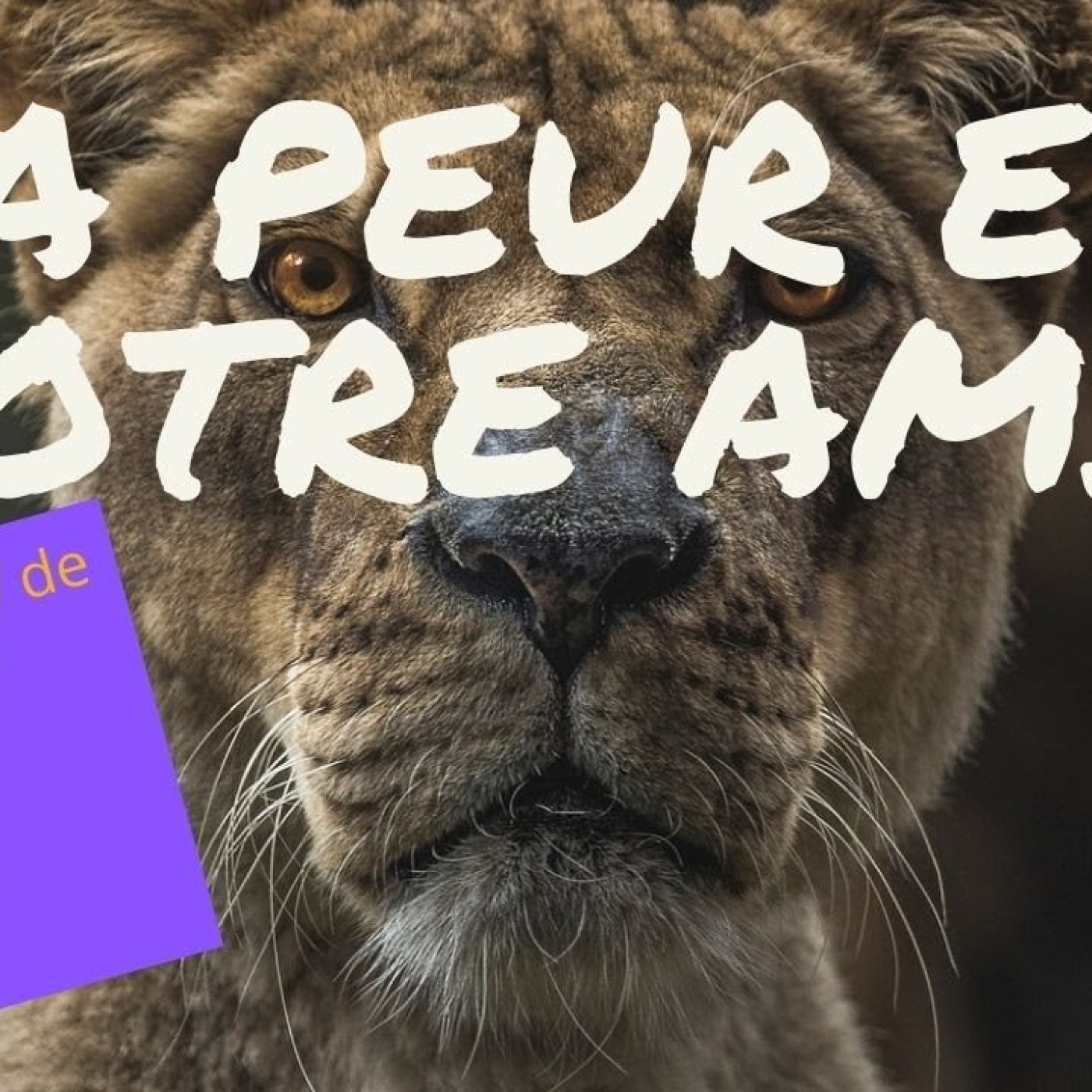 Parole de zebre