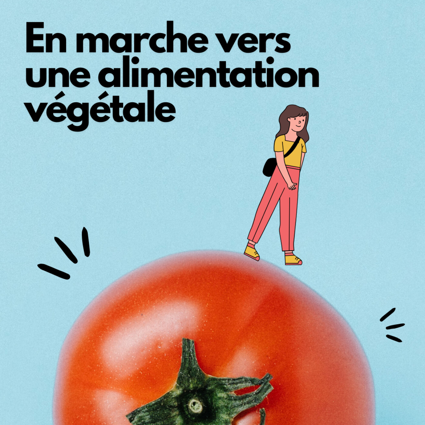 Parallèle Sud