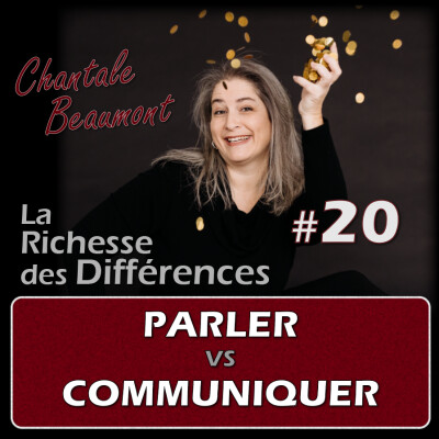 Comment cesser de parler dans le vide et être entendu - E20 cover