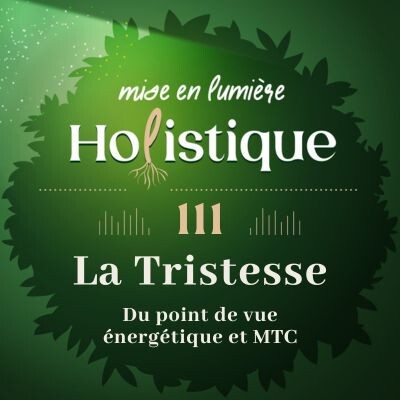 111. L'émotion de la tristesse du point de vue énergétique. cover