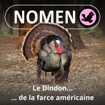 S03E30 Le Dindon... de la farce américaine cover