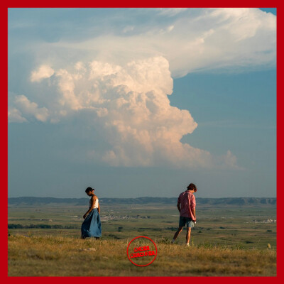 Novembre 2022 : Saint-Omer, Bones and All, Armageddon Time cover