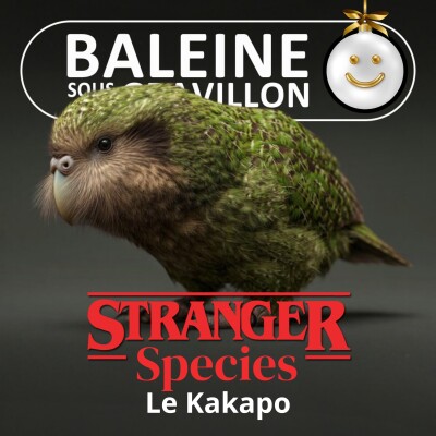 STRANGER SPECIES 5/12 : Le Kakapo cover