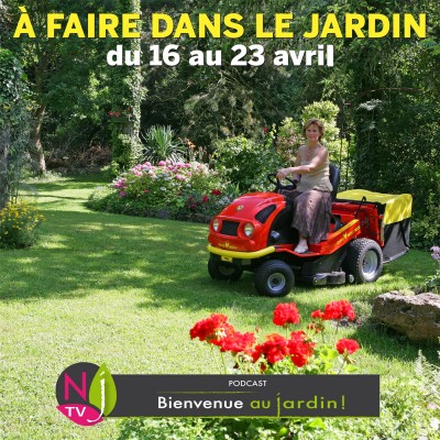 QUE FAIRE DANS LE JARDIN DU 16 AU 23 AVRIL ? cover