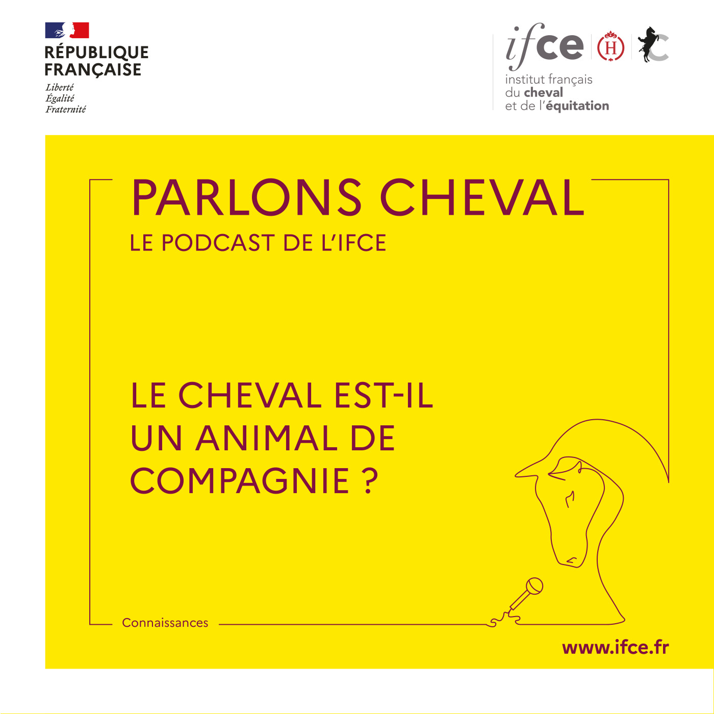 Ép. 29 | Le cheval est-il un animal de compagnie ? - Guillaume Blanc