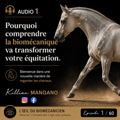 Audio 1 - Pourquoi comprendre la biomécanique va transformer votre équitation cover