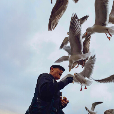 Vivre avec les goëlands cover