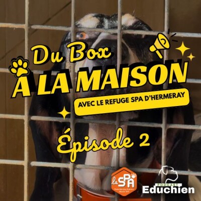 Du BOX à la MAISON - Épisode 2 cover