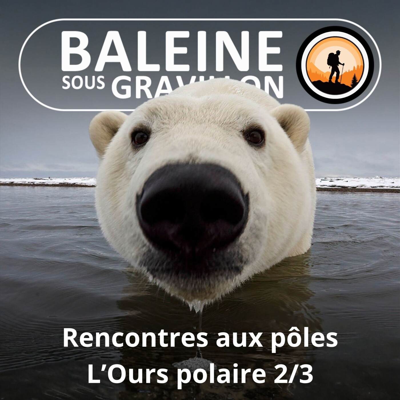 S02E21 Rencontres aux pôles : Ours en Arctique, Manchots en Antarctique (Kris de Bardia 2/3) episode artwork