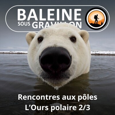 S02E21 Rencontres aux pôles : Ours en Arctique, Manchots en Antarctique (Kris de Bardia 2/3) cover