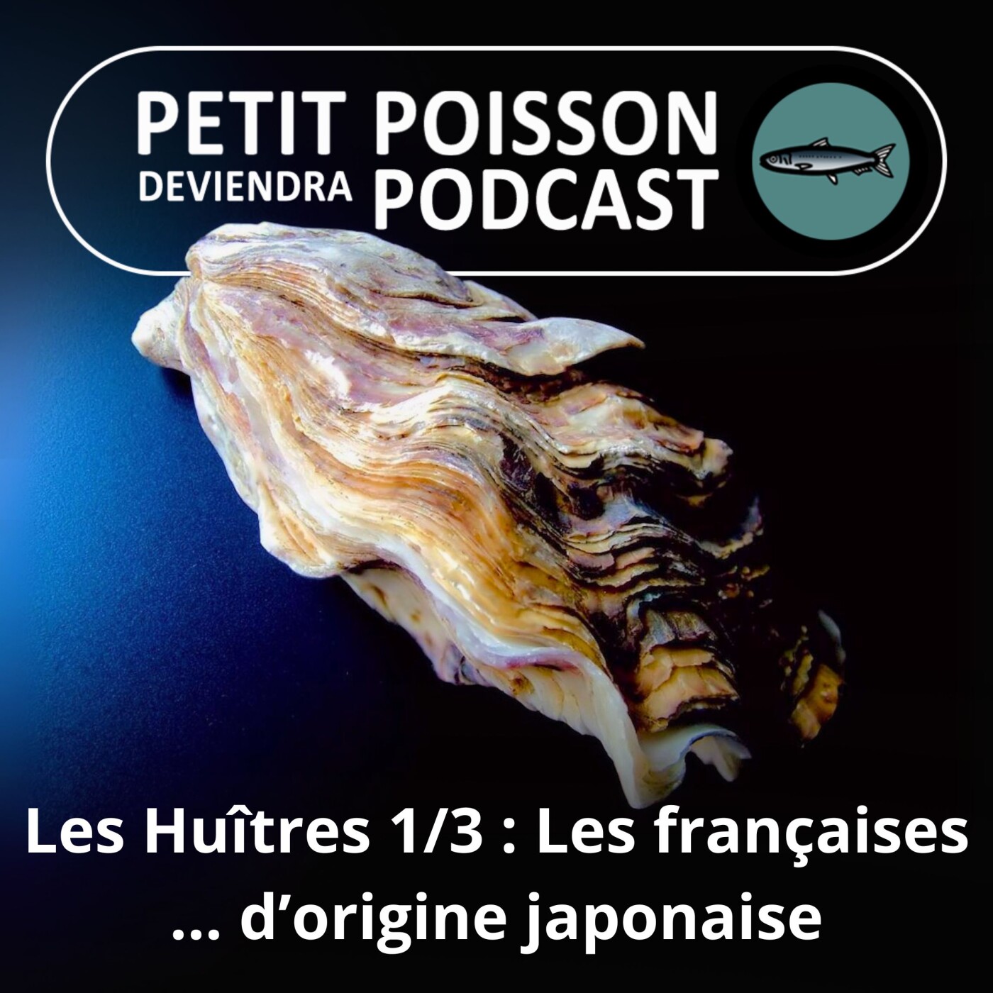 Petit Poisson deviendra Podcast