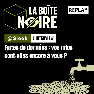 Fuites de données : vos infos sont-elles encore à vous ? Avec Sleek [LBN EP02] cover