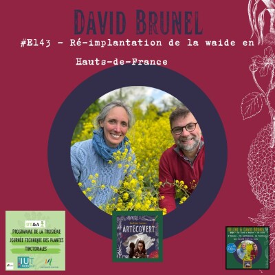 Show cover
