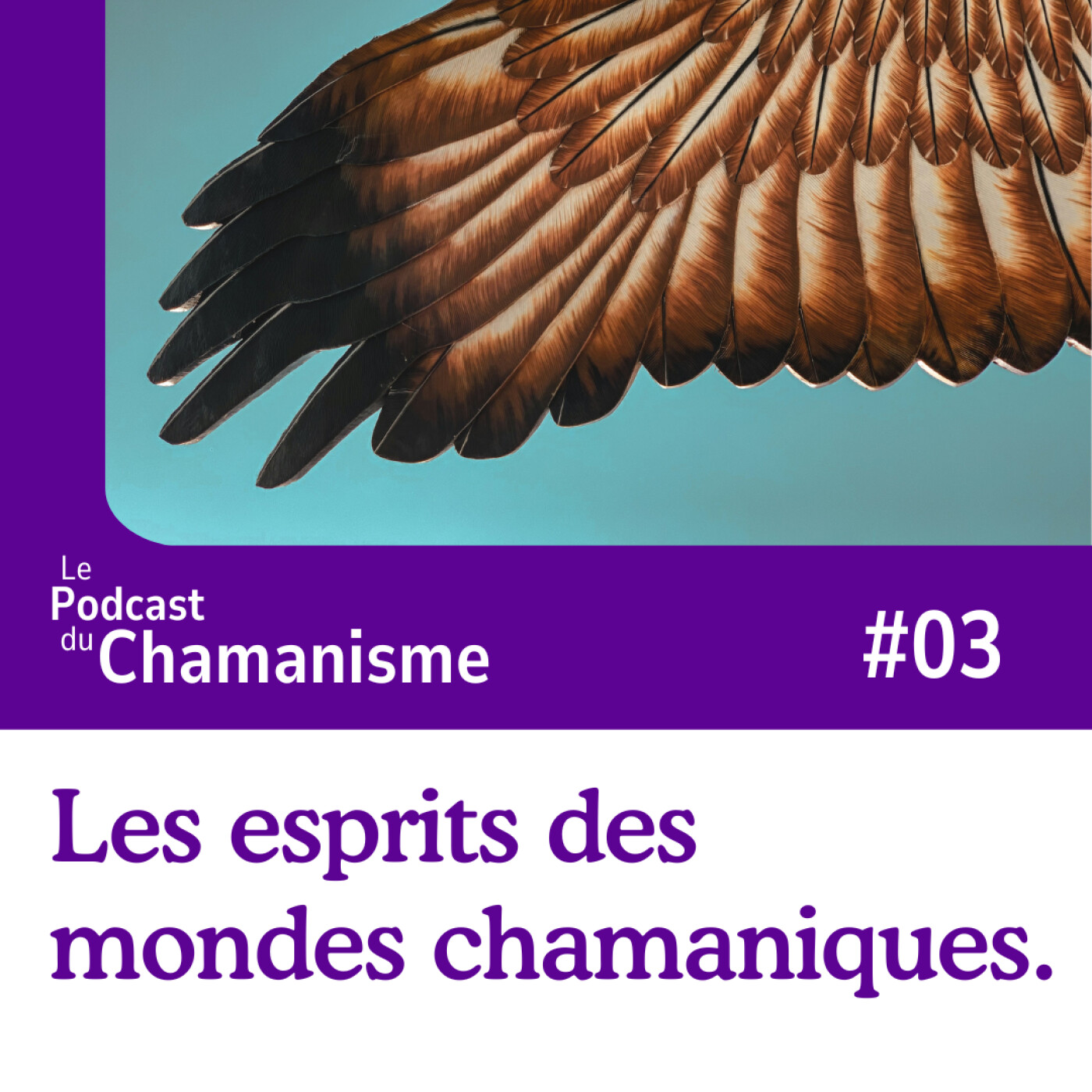 #03_Les esprits des mondes chamaniques. episode artwork