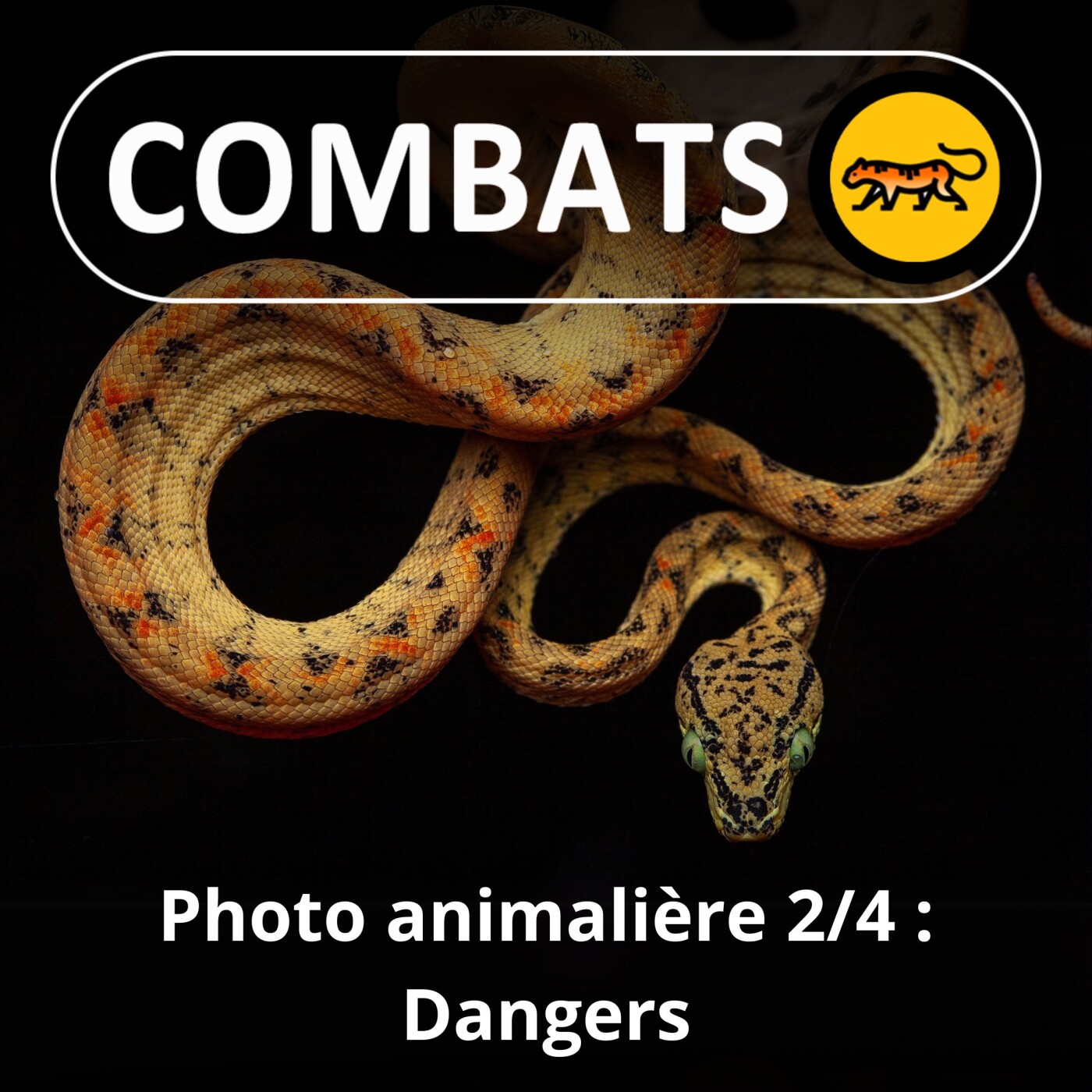 S02E47 Profession photographe animalier 2/4 : Dangers, Frank "Canon" Deschandol