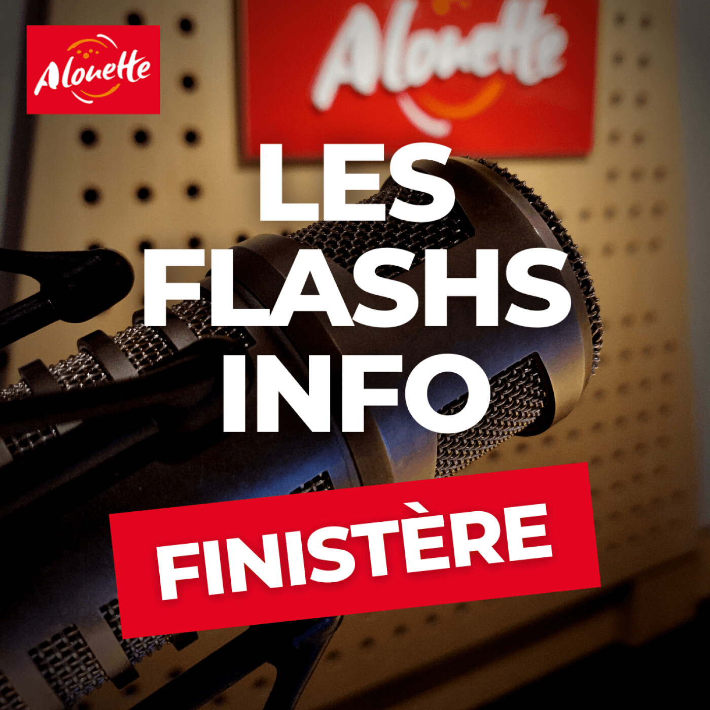 Alouette - Les Infos du 22 Mars 17h00 dans le Finistère.