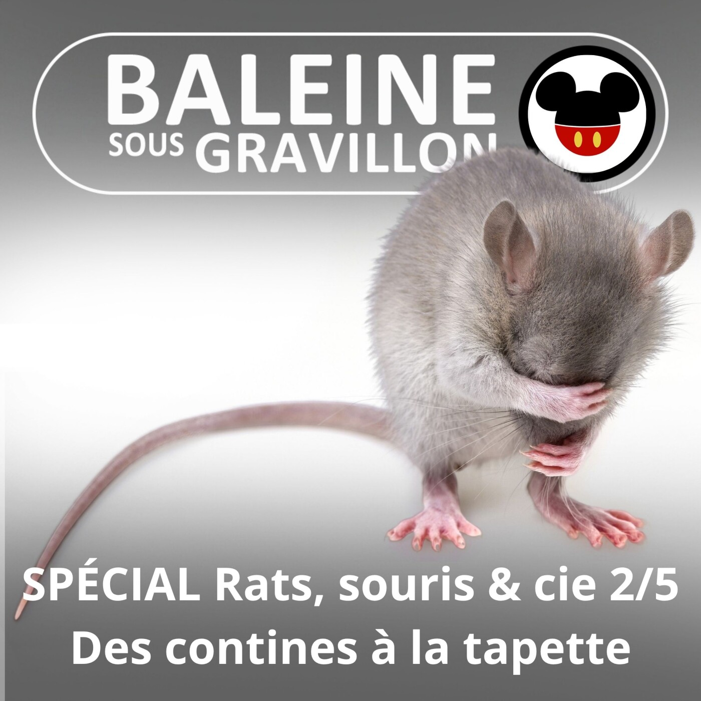 SPÉCIAL Rats, souris & cie 2/5 : La petite souris, de l'oreiller à la tapette episode artwork