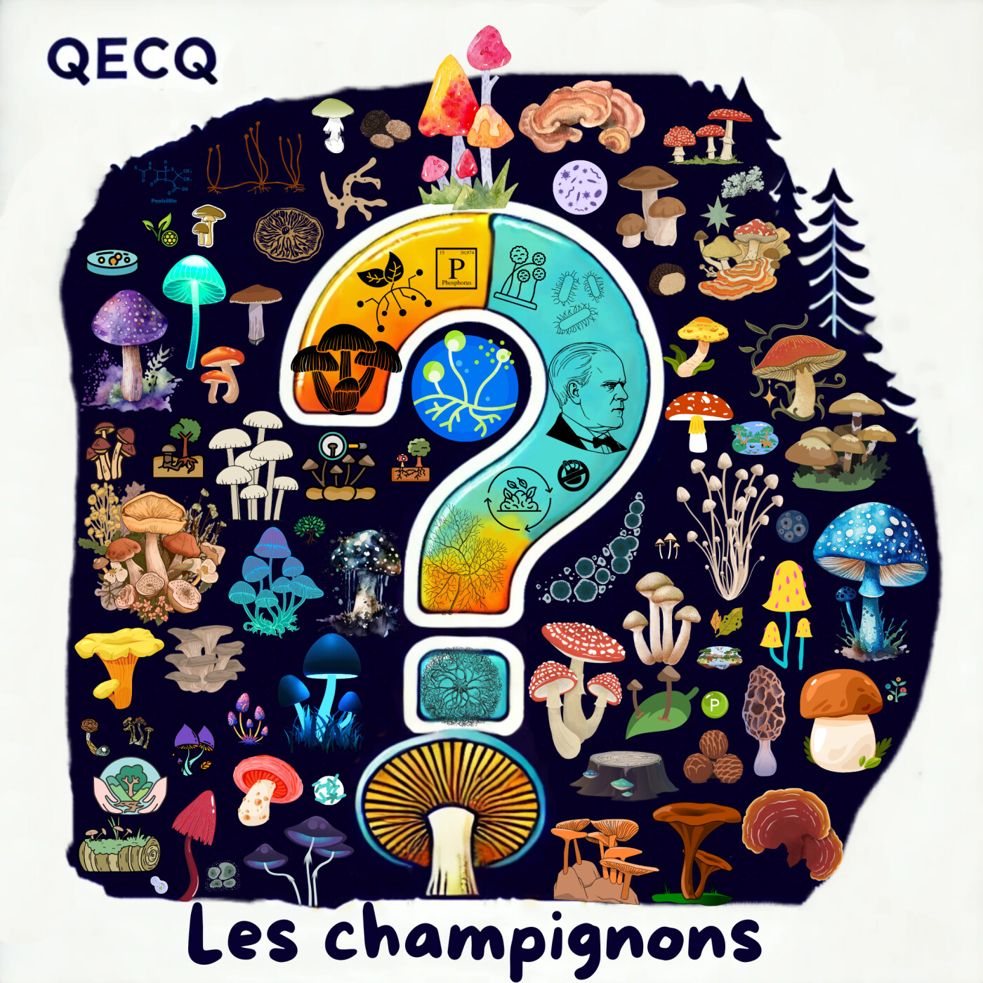 QECQ - Qu\'est-ce que ?
