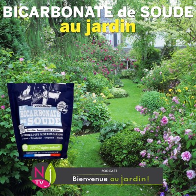 PAROLES D'EXPERTS: LES USAGES DU BICARBONATE DE SOUDE AU JARDIN cover