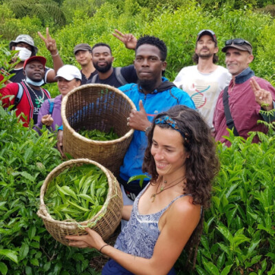 #31 Les plantes médicinales, un trésor à protéger cover