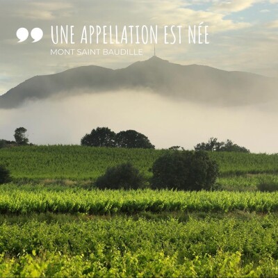 1 - Une appellation est née ! Terrasses du Larzac - Mont St Baudille cover