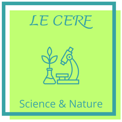 Le Cerf: Le roi des forêts cover
