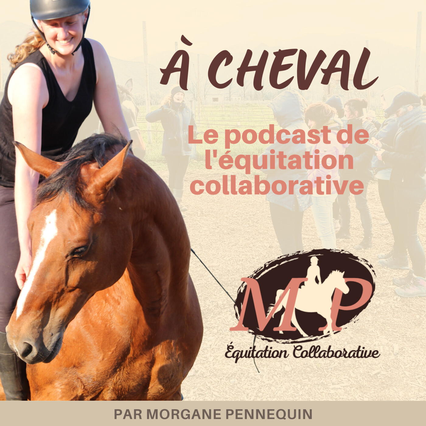 171. Ton équitation préserve-t-elle ton cheval ? 3 clés pour y arriver.