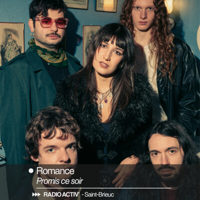 Romance dans Dig Dig Diggers cover
