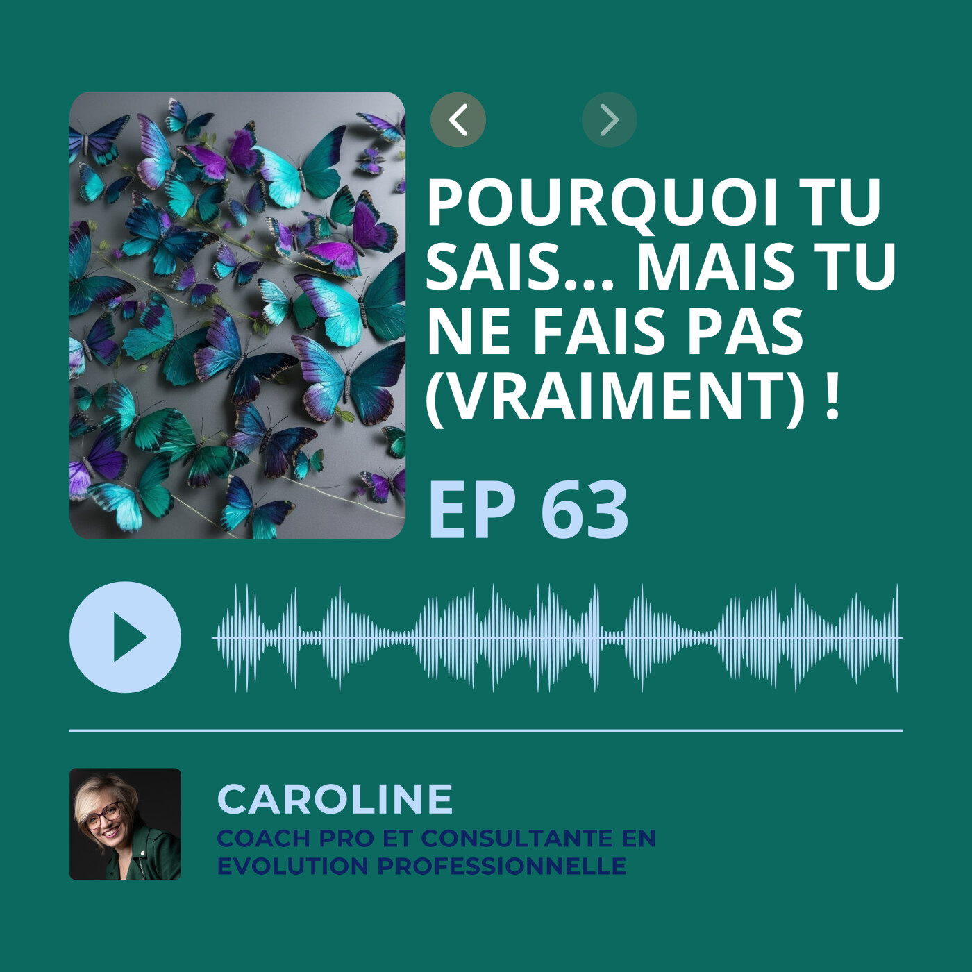 Episode 63 - Pourquoi tu sais... mais tu ne fais pas (vraiment) ! episode artwork