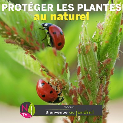 PAROLES D'EXPERTS: LES NOUVELLES MÉTHODES DE PROTECTION DE PLANTES cover