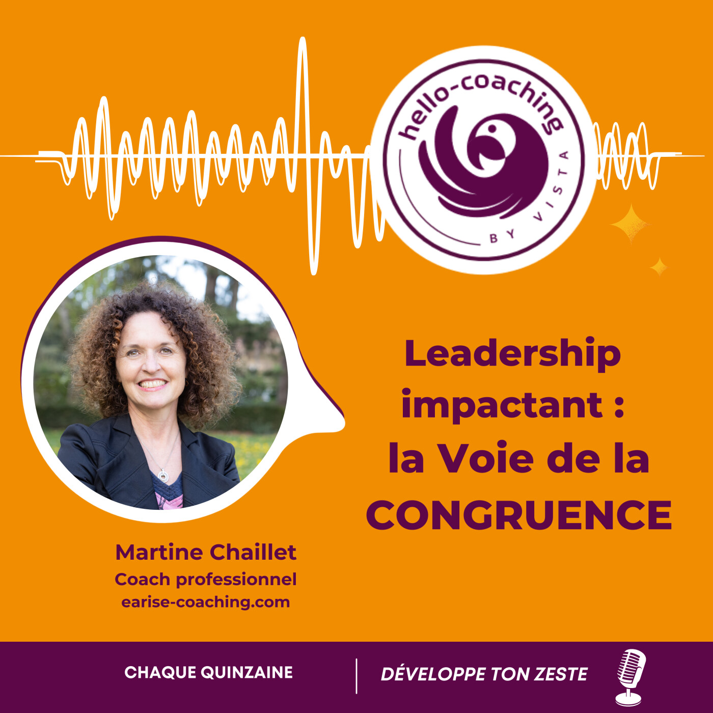 Un leadership impactant grâce au développement de la congruence episode artwork