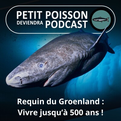 S01E10 Requin du Groenland : Vivre jusqu'à 500 ans ! cover