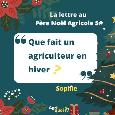 Lettre au Père Noël agricole 5 : Que fait un agriculteur en hiver ? cover