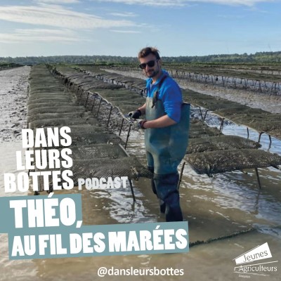 Théo, au fil des marées cover