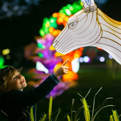 « Thoiry Lumières Sauvages » l’incontournable familiale ! cover