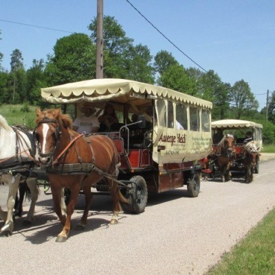 Voulez-vous manger dans une roulotte ? cover