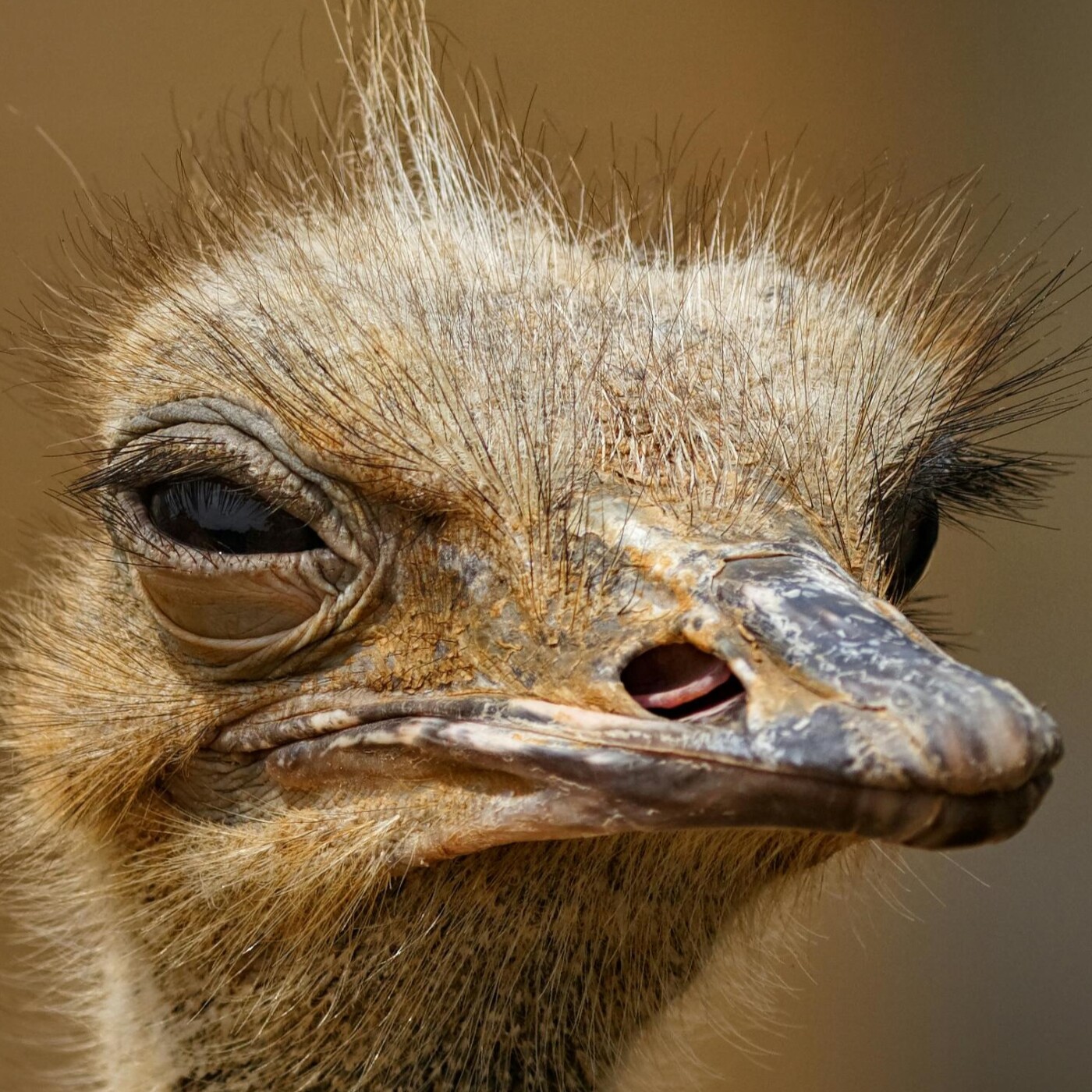 Des trous dans la mémoire vive ...