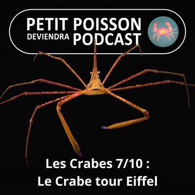 S04E37 Les Crabes : Le Crabe tour Eiffel, un monument de bizarrerie ! cover