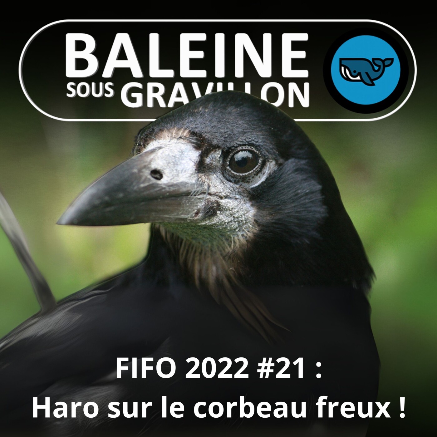 FIFO #21 : Haro sur le Corbeau freux (Jean-François Quété, GODS)