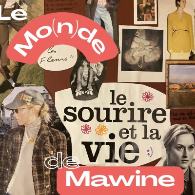 Qui sont les fashions ? cover