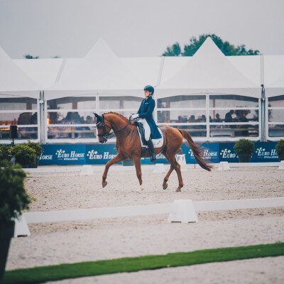 🐎 Dressage • La pertinence de la répétition cover