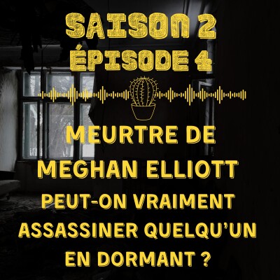 Meurtre de Meghan Elliott : peut-on vraiment assassiner quelqu'un... en dormant ? cover