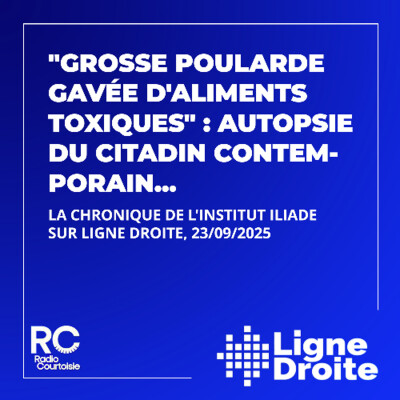 "Grosse poularde gavée d'aliments toxiques" : autopsie du citadin contemporain cover