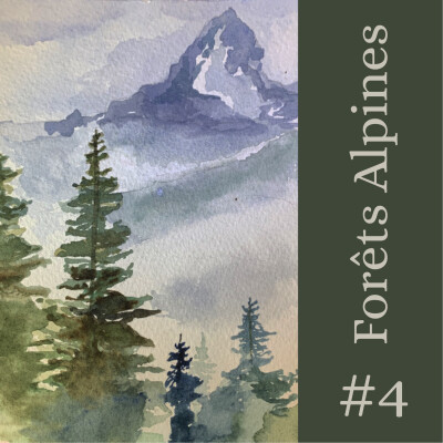 Serie Forêts alpines | Ep. 4 - Entre racines et horizons : penser l’avenir des forêts alpines cover