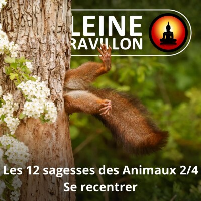 S03E51 Les 12 sagesses des Animaux 2/4 : Se recentrer cover